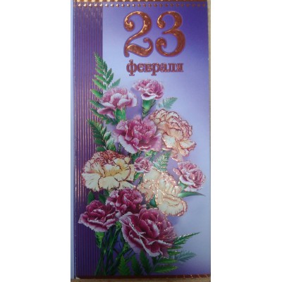 Открытка 23 Февраля (евро без текста)