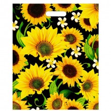 Пакет полиэтилен 