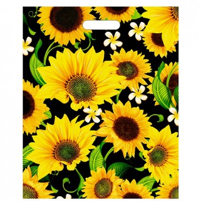 Пакет полиэтилен 