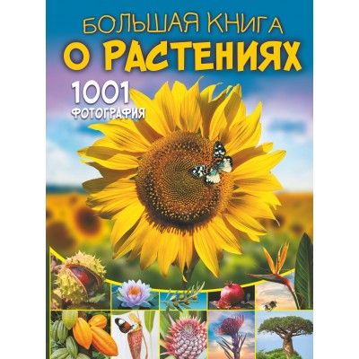 Медведев Д.Ю. Большая книга о растениях. 1001 фотография/Спектор А.А.