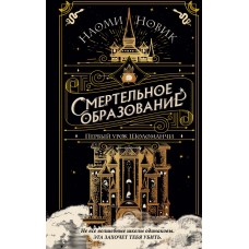 Новик Н. Первый урок Шоломанчи