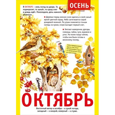 Плакат-мини  