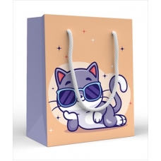 Пакет Бумажный кот в очках 110х135х60 мм (S)