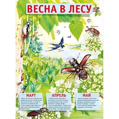 Плакат 