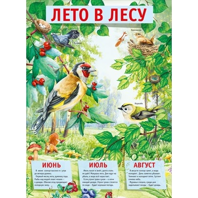 Плакат 