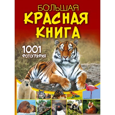 Спектор А.А. Большая красная книга. 1001 фотография