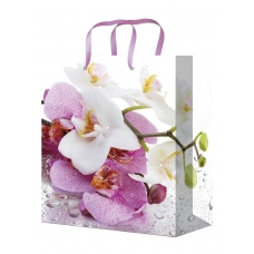 Пакет Бумажый Прекрасные орхидеи 22х31х10 см