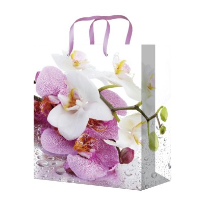 Пакет Бумажый Прекрасные орхидеи 22х31х10 см