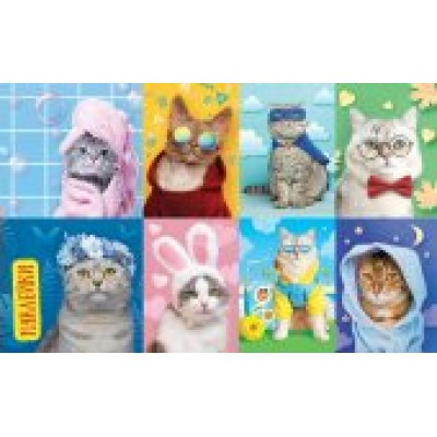 Наклейка Кошки 97х160 мм