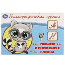  Пишем прописные буквы. Каллиграфическая пропись