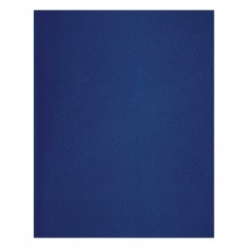 Тетрадь 48 листов линия скрепка  А5 , бумвинил, синий BG