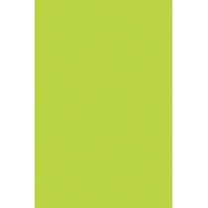 Бумага цветная  10л.тонированная двусторонняя ,А4, ПЭТ Салатовый АппликА