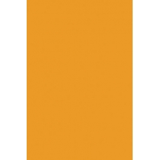 Бумага цветная  10л.тонированная,двусторонняя, А4,ПЭТ Светло-оранжевый АппликА