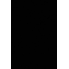 Бумага цветная  10л.тонированная двусторонняя, А4, ПЭТ Черный АппликА