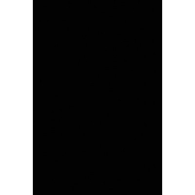 Бумага цветная  10л.тонированная двусторонняя, А4, ПЭТ Черный АппликА