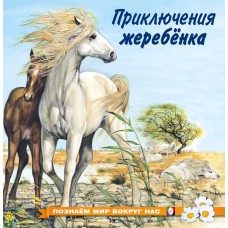 Гурина И. Приключения жеребенка