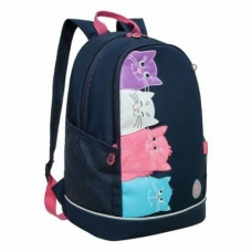 Рюкзак школьный  синий,жесткая спинка,2 отд. Grizzly