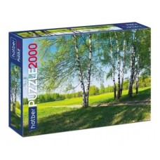  Пазл 2000 эл. А1  Premium 