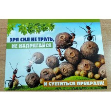 Открытка Зря сил не трать, не напрягайся 122х182 мм