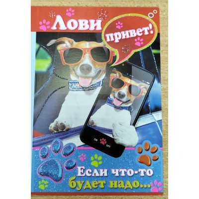 Открытка Лови привет 122х182 мм