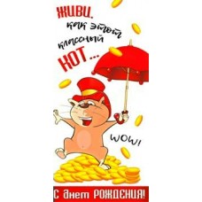 Конверт для денег С Днем Рождения! (живи, как это классный...) 82х171 мм