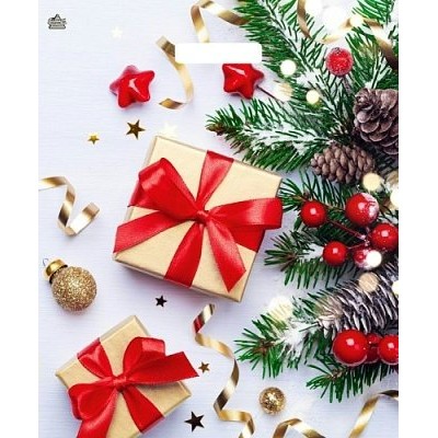 Пакет Полиэтиленовый Новогодние презенты НГ 45х38 см (60) вырубная ручка