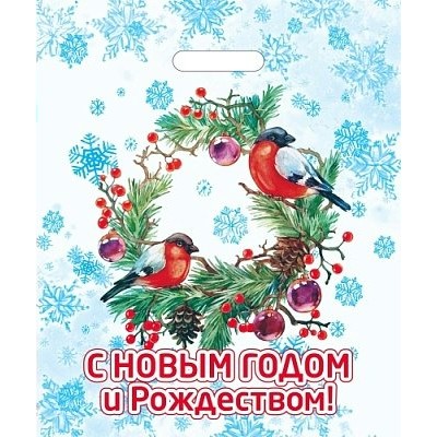 Пакет Полиэтиленовый Птицы в лесу НГ 36х43 (35) с вырубной ручкой