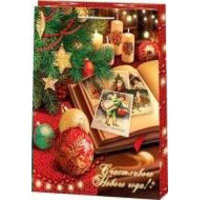 Пакет Бумажный НГ 260х327х136 мм