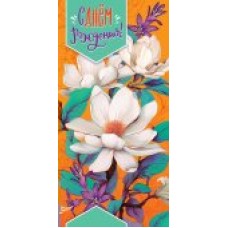 Конверт для денег С Днём Рождения 84х168 мм