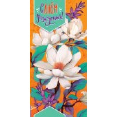 Конверт для денег С Днём Рождения 84х168 мм