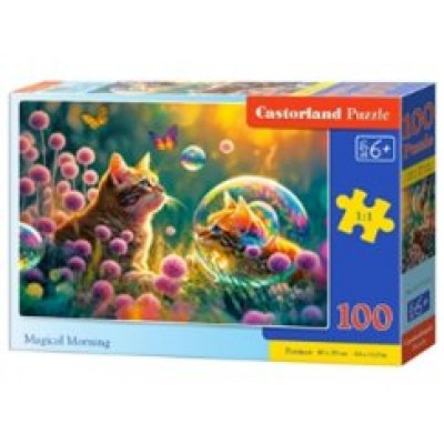  B9-111237 Волшебное утро, 100 деталей