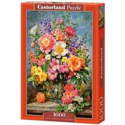  C-103904 Цветы в сиянии, 1000 деталей