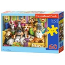  B5-066254 Игривые домашние животные, (60 деталей MIDI)