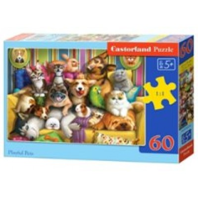  B5-066254 Игривые домашние животные, (60 деталей MIDI)