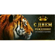 Конверт для денег С Днем Рождения 82х171 мм