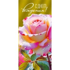 Конверт для денег С Днем Рождения! 82х171 мм