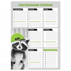 Расписание уроков А3  ЕНОТ В ШАПОЧКЕ, мелованный картон 235 г/м2, полноцветная печать, выборочный УФ-лак Феникс