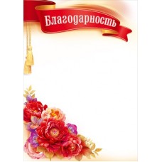 Благодарность Без символики (для принтера) 210х295 мм