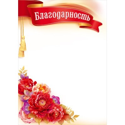 Благодарность Без символики (для принтера) 210х295 мм