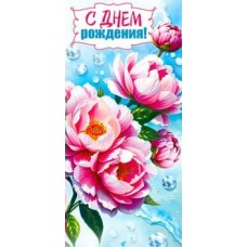 Конверт для денег С Днем Рождения! 82х171 мм