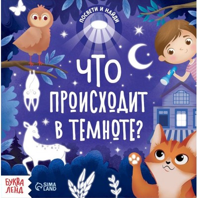  Книга с фонариком «Что происходит в темноте?»