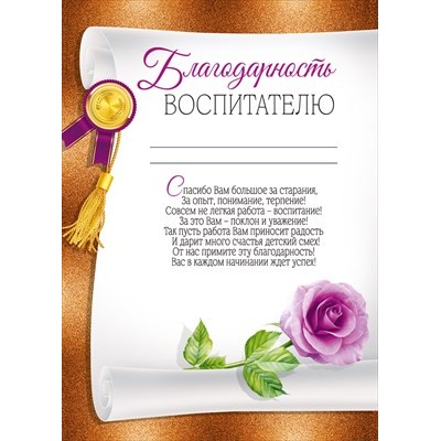 Благодарность Воспитателю 210х295 мм