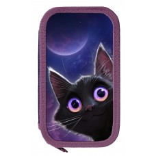 Пенал 2 отдела  ИГРИВЫЙ КОСМОКОТИК, 190х105х35 мм .фиол. ламин.картон Schoolformat