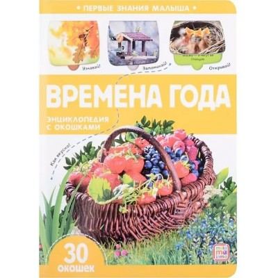  Первые знания малыша. Времена года, 30 окошек
