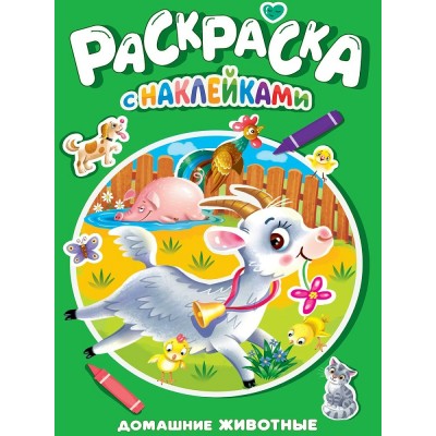  А3. Домашние животные