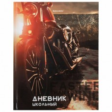 Дневник школьный 5-11 кл. 48 л., твердый, лянцевая ламинация, с подсказом, 