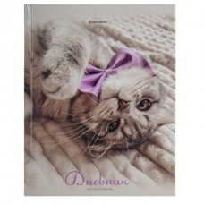 Дневник школьный 5-11 кл. 48 л., твердый,,глянцевая ламинация, с подсказом,  