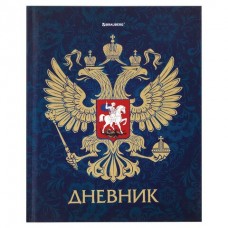 Дневник школьный 5-11 кл. 48 л., твердый, фольга, с подсказом, 