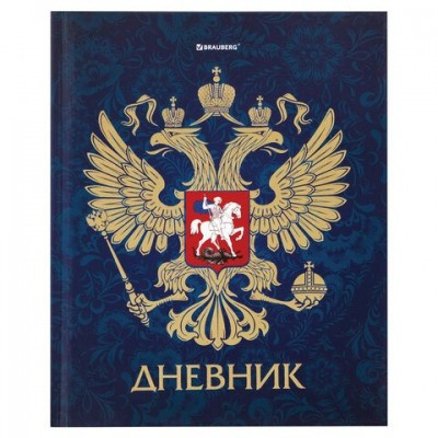 Дневник школьный 5-11 кл. 48 л., твердый, фольга, с подсказом, 