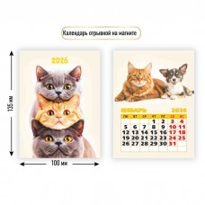 Календарь Отрывной на магните котики 2026 г 100х135 мм